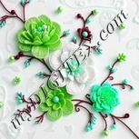 Colour:C