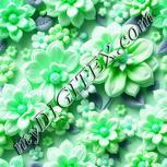 Colour:C