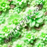 Colour:D