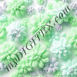 Colour:C