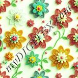 Colour:K