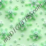 Colour:C