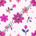 Colour:B