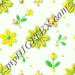 Colour:K