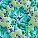 Colour:F