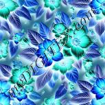 Colour:F