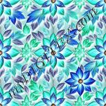 Colour:F