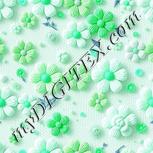 Colour:C