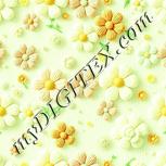 Colour:K