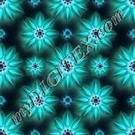 Colour:F