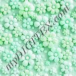 Colour:C