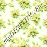 Colour:K