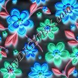 Colour:F