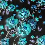 Colour:F