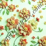 Colour:K