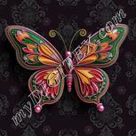 Colour:B