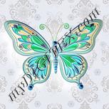 Colour:F