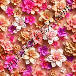 Colour:B