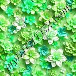 Colour:C