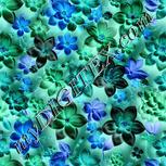 Colour:F