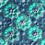 Colour:F