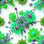 Colour:C