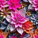 Colour:B