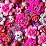 Colour:B