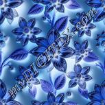 Colour:F