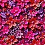 Colour:B