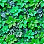 Colour:C