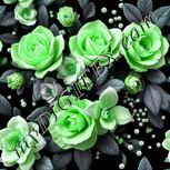Colour:C