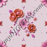 Colour:B