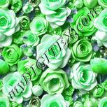 Colour:C