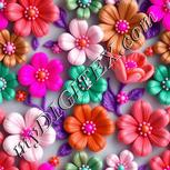Colour:B
