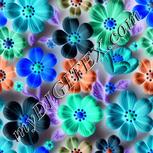 Colour:F