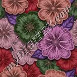 Colour:B