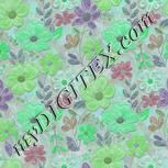 Colour:C