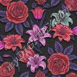 Colour:B
