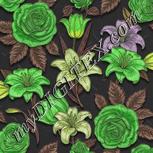 Colour:D
