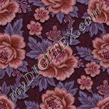 Colour:B