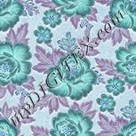 Colour:F