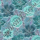 Colour:F