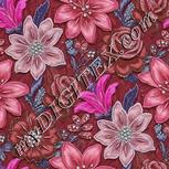 Colour:B