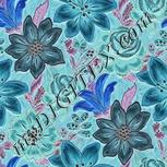 Colour:F