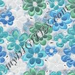 Colour:F