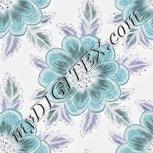 Colour:F