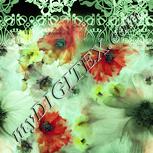 Colour:K