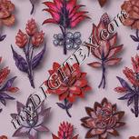 Colour:B