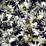 Colour:A